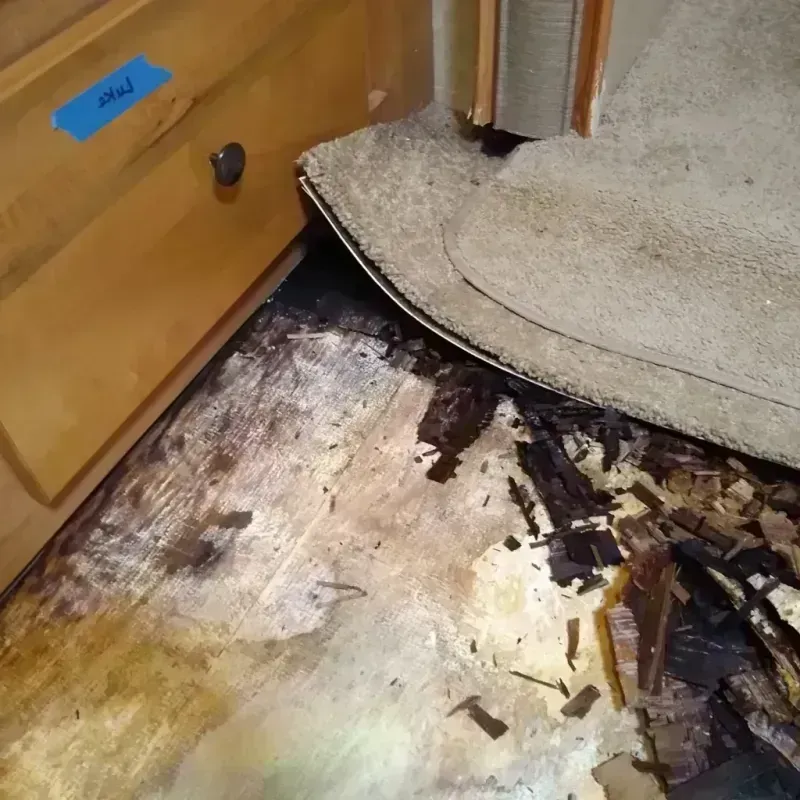 Wood Floor Water Damage in Beach Haven West, NJ